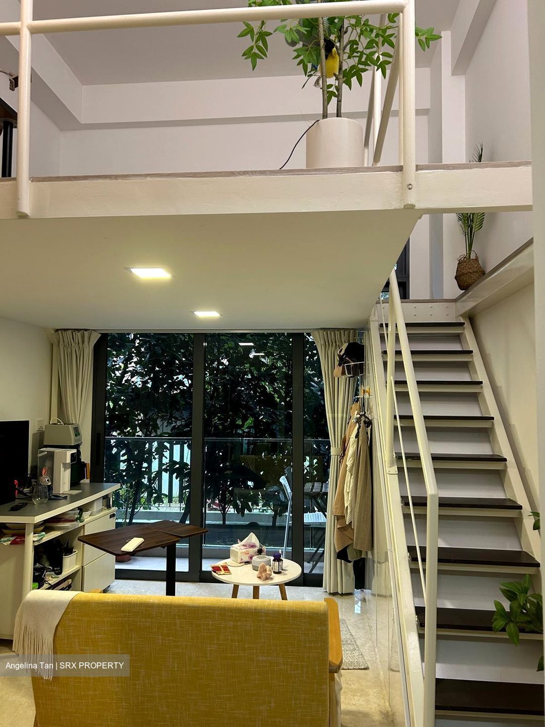 38 Jervois (D10), Apartment #504316641